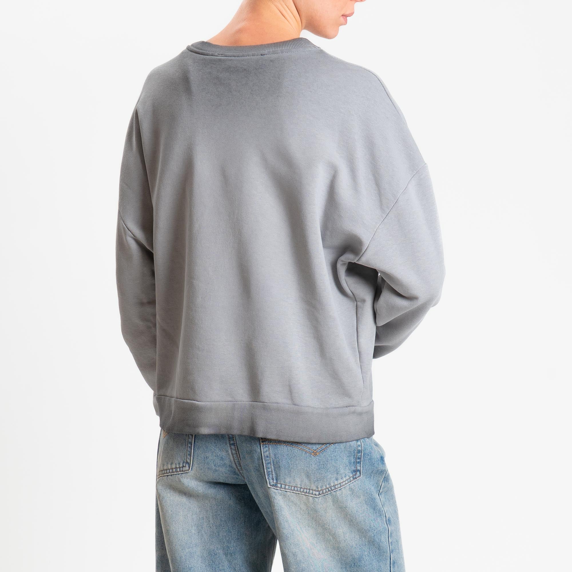 Haveone-Felpa stampa aquila stone washed - grigio - Image 3